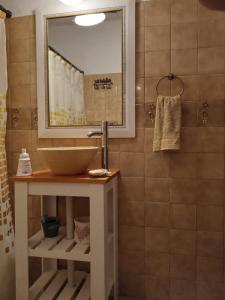 a bathroom with a sink and a mirror at ENCANTO DEL BOSQUE Casa Bosque Peralta Ramos in Mar del Plata