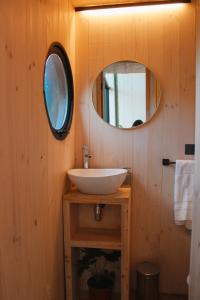 uma casa de banho com um lavatório e um espelho em Silvestre lodge em Buchupureo