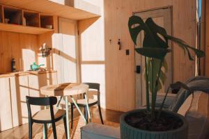 uma sala de estar com uma mesa e um vaso de plantas em Silvestre lodge em Buchupureo