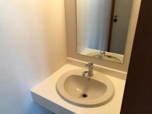 a bathroom with a white sink and a mirror at Aizu Kogen International Human Resources Center - Vacation STAY 34901v in Minamiaizu