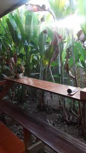 a wooden bench in front of a garden with plants at Cabinas las Gemelas in Pavones