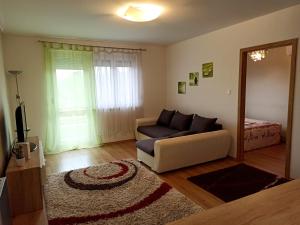 sala de estar con sofá y espejo en Nagyerdő - Simonyi út, en Debrecen
