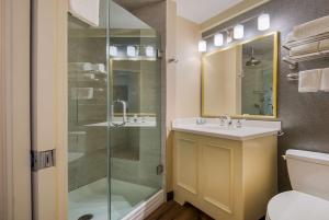 a bathroom with a shower and a sink and a toilet at Best Western Syracuse Downtown Hotel and Suites in Syracuse