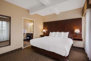 a hotel room with a large bed and a mirror at Best Western Syracuse Downtown Hotel and Suites in Syracuse