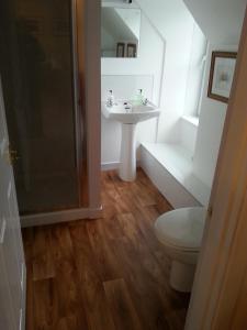 a bathroom with a sink and a toilet at Fasgath B&B in Kyle of Lochalsh