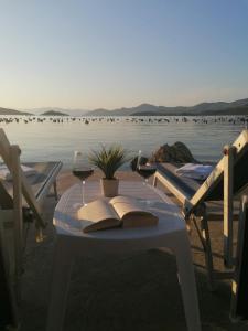 a table with two glasses of wine and a book at Beach apartments Seahorse and Seastar, Pelješac peninsula in Putniković