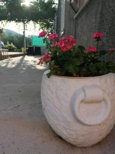 a pot with pink flowers in it sitting next to a building at Beach apartments Seahorse and Seastar, Pelješac peninsula in Putniković