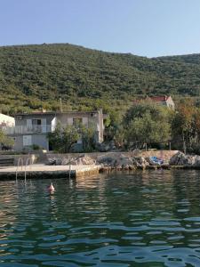 a house on the shore of a body of water at Beach apartments Seahorse and Seastar, Pelješac peninsula in Putniković