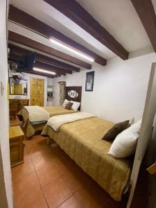 a bedroom with two beds and a kitchen in it at Hotel Magdalena Colonial in Guanajuato