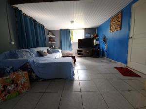 烏圖羅阿的住宿－VILLA DE LA BAIE RAIATEA，带沙发和电视的客厅