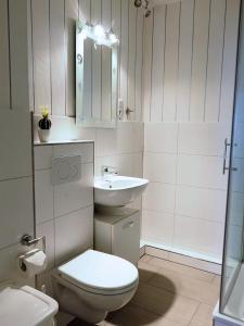 シャルボイツにあるAppartement-Neue-Bergstrasse-1-BER-113のバスルーム(トイレ、洗面台、鏡付)