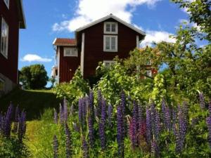 a garden with purple flowers in front of a house at Holiday home SILJANSNÄS in Siljansnäs