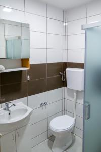 Gora Apartments Premium Lodge - Stara Planina في Balta Berilovac: حمام مع مرحاض ومغسلة