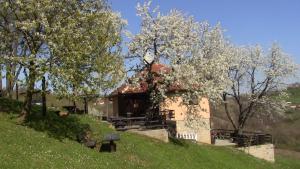 un pequeño edificio en una colina con árboles en él en Holiday Home Vila Kikovi en Dragolj