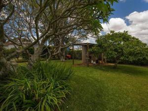 a yard with a house and some trees and grass at Tamarind Street Cottage. Maleny, Queensland in Maleny