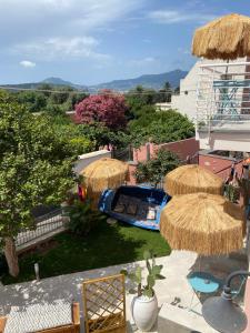 a view of a yard with two umbrellas at Teresa Madre in Procida