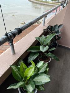 een groep planten in potten op een balkon bij PD VIP SEAVIEW w Wifi n Smart TV in Port Dickson