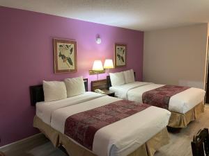 duas camas num quarto de hotel com paredes roxas em Budget Host Inn em Greenup