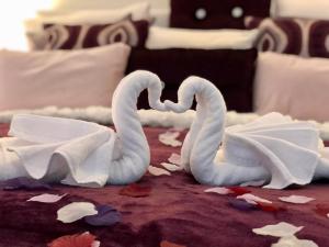 twee witte zwanen maken een hart op een bed bij perfect lifestyle Design Boutique & Private SPA in Gebenstorf