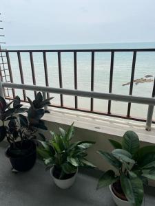 drie potplanten op een balkon met uitzicht op het strand bij PD SEAVIEW VIP Staycation w WiFi in Kampong Bagan Pinang