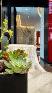 Fotografie z fotogalerie ubytování Kew Green Hotel Hongqiao Shanghai v Šanghaji