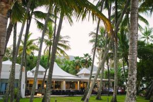 um grupo de palmeiras em frente a um edifício em Belle Escapes Villa Latania Palm Cove em Palm Cove