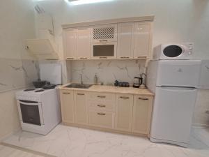 La cuisine est équipée d'un réfrigérateur blanc et d'un évier. dans l'établissement Apartment in City Centre, à Douchanbé