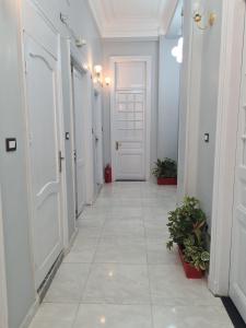 Kép The Australian Hostel szállásáról Kairóban a galériában