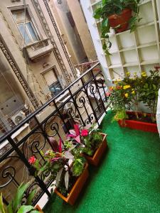 A balcony or terrace at The Australian Hostel