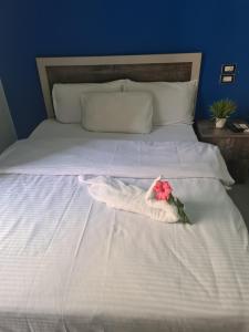 A bed or beds in a room at The Australian Hostel