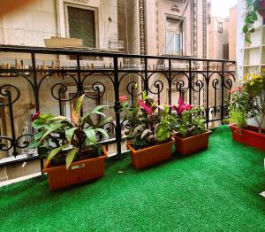 A garden outside The Australian Hostel