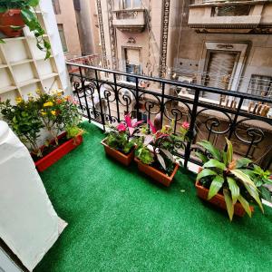 A balcony or terrace at The Australian Hostel
