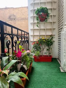 A garden outside The Australian Hostel