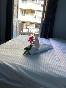 A bed or beds in a room at The Australian Hostel