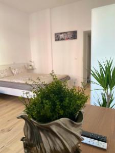 a living room with a vase with flowers on a table at PnT home-stilvolles Apartment in Koblenz