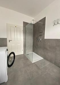 ein Bad mit einer Dusche und einer Glastür in der Unterkunft PnT home-stilvolles Apartment in Koblenz