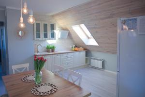 Kuchyňa alebo kuchynka v ubytovaní Apartament u Sikorki