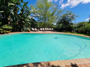 a large pool with blue water in a yard at Kiaat Bungalows in Hazyview