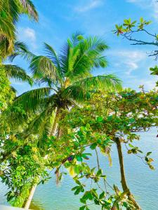 two palm trees with the ocean in the background at New Heaven in Ambalangoda