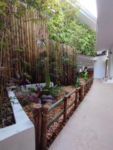 a bamboo fence in the hallway of a building with plants at Villa Umi Panglao Resort in Panglao