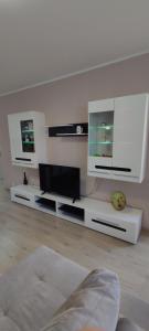 TV a/nebo společenská místnost v ubytování Luxury and stylish apartmen, metro station Obelya