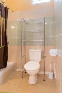 uma casa de banho com um WC e um chuveiro em Studio Colibri... Cap sur le Nord ! em Marigot