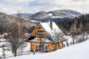 Príroda v okolí horskej chaty