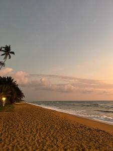 a beach with a palm tree and the ocean at Lavila beach cottage in Wadduwa