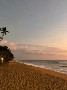 - une plage avec un palmier et l'océan dans l'établissement Lavila beach cottage, à Wadduwa