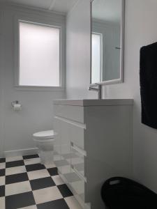 Un baño con lavabo, inodoro y espejo. en Beach Front Studio Napier, en Napier 9 fotos más