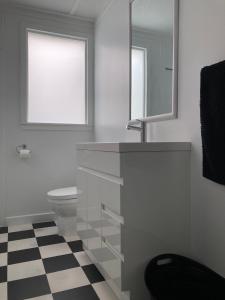 a bathroom with a sink and a toilet and a mirror at Beach Front Studio Napier in Napier