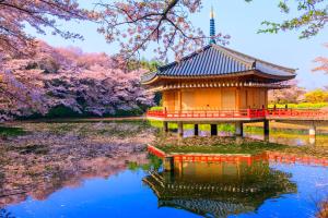 a pagoda and a pond in a garden with cherry trees at Temple Town Hotel WAQOO Horyuji in Ikaruga