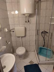 a small bathroom with a toilet and a shower at Apartment Teo & Leon in Novi Vinodolski +11 photos