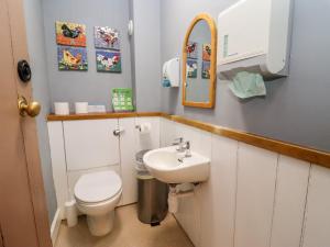 Un baño con inodoro, lavabo y espejo. en Wick Court Farm, en Gloucester 48 fotos más